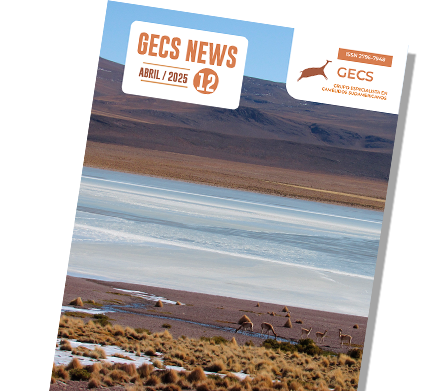 Revista GECS News